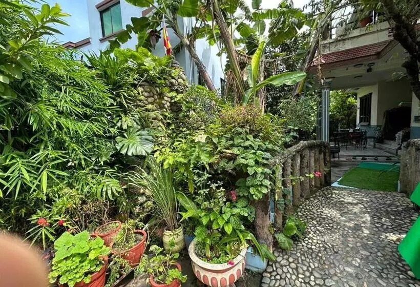 Nepal Bed And Breakfast