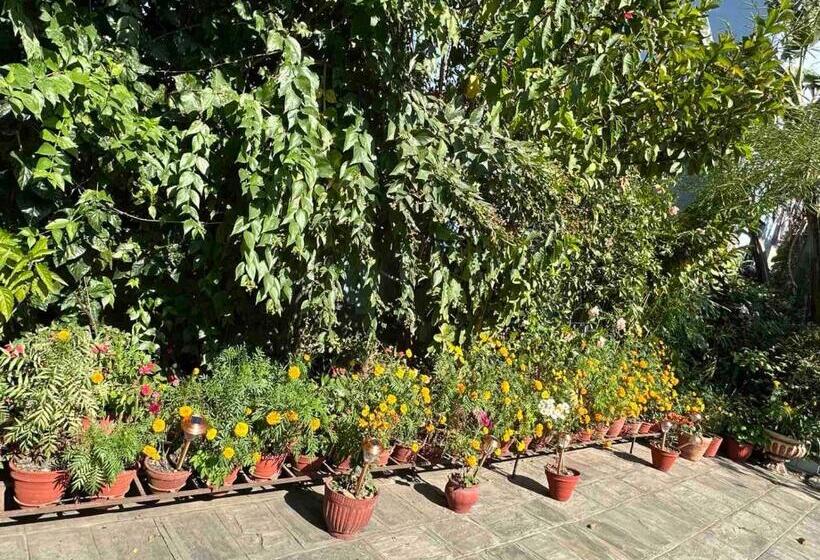 Nepal Bed And Breakfast