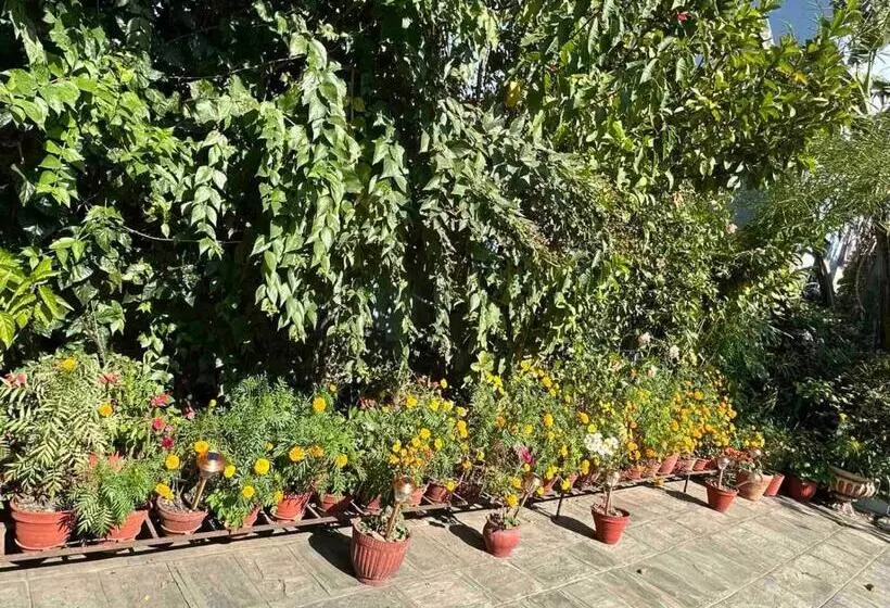 Nepal Bed And Breakfast