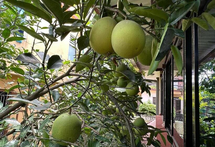 Nepal Bed And Breakfast