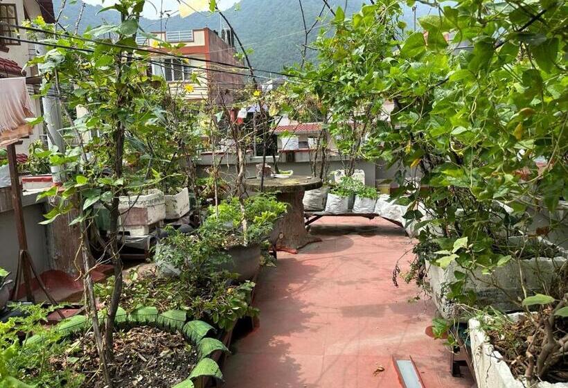 Nepal Bed And Breakfast