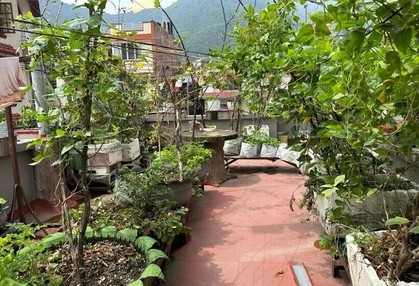 Nepal Bed And Breakfast