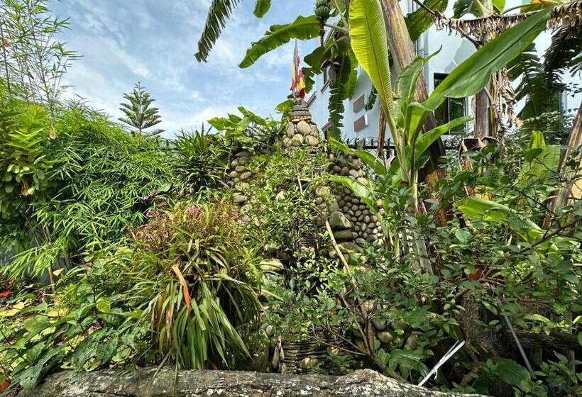 Nepal Bed And Breakfast