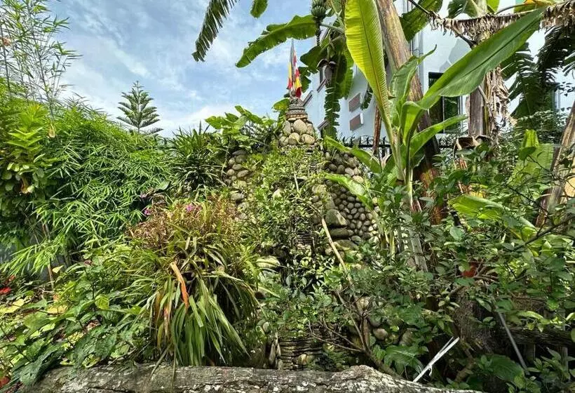 Nepal Bed And Breakfast