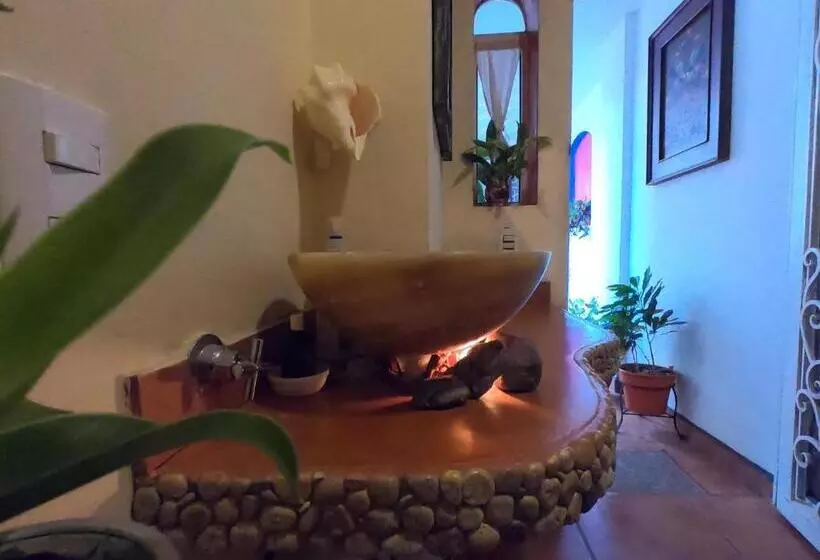 ペンション Casa Arbol De Paz Hab Sencilla