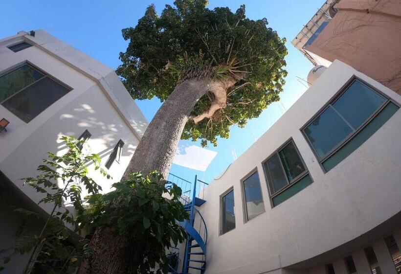 Пансион Casa Arbol De Paz Hab Sencilla