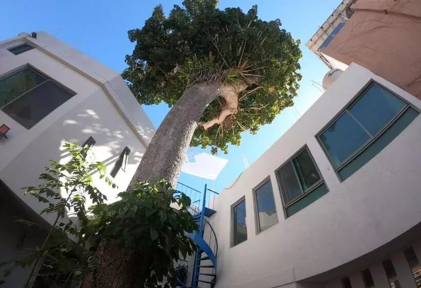 ペンション Casa Arbol De Paz Hab Sencilla