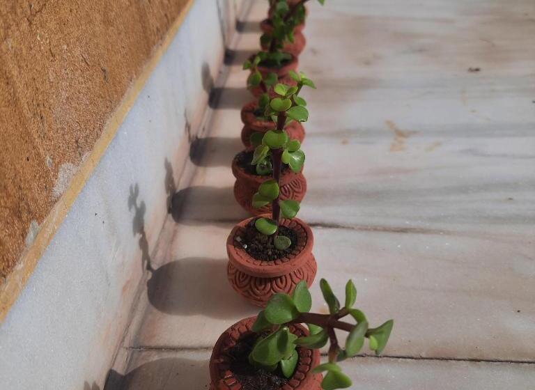 펜션 Startup Studio Room