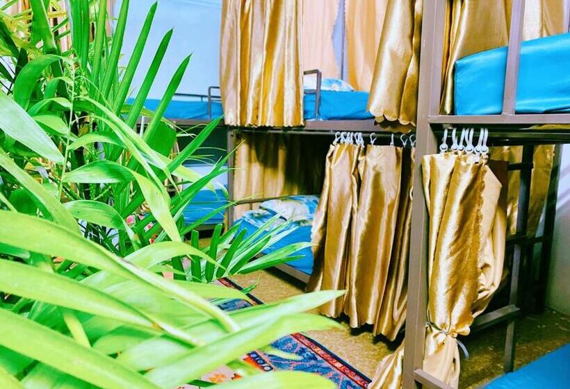 پانسیون Wind Hill Homestay Hà Giang