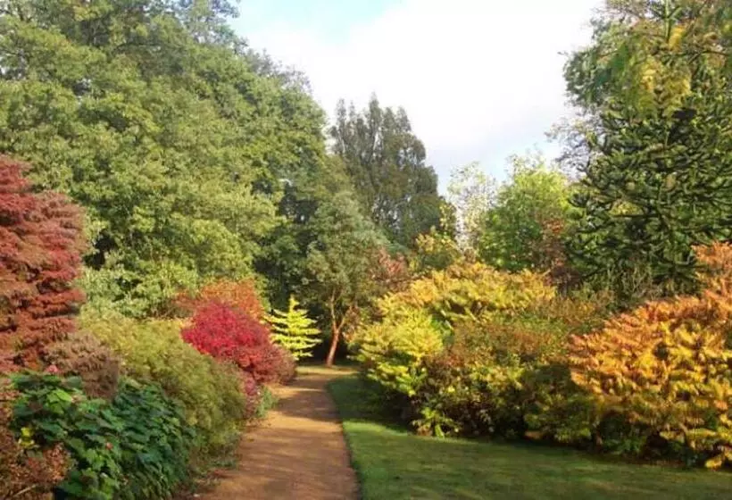 The Umen Hotel Sector 49