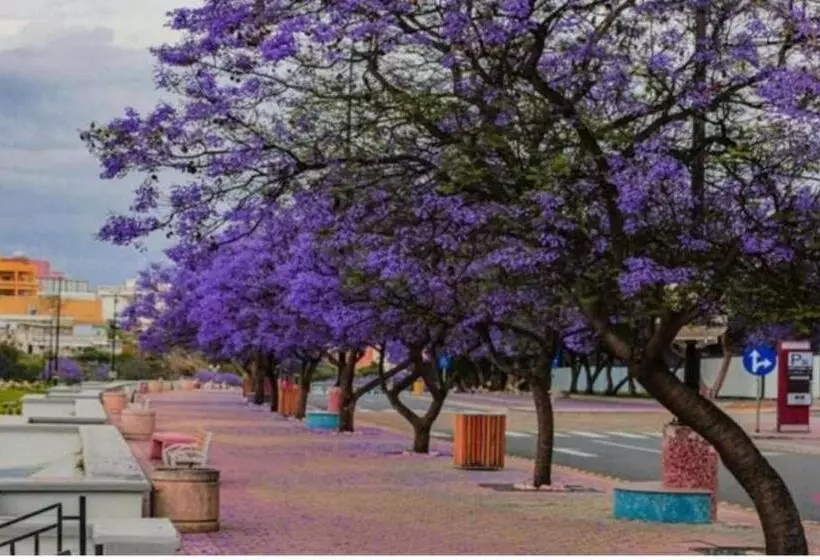 الفاخرية