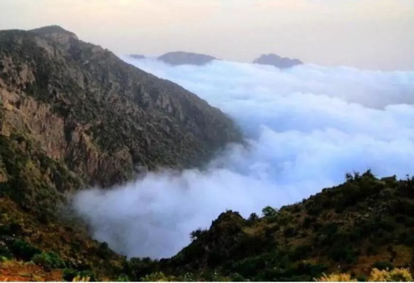 الفاخرية