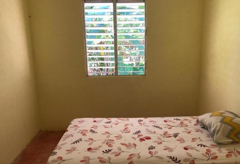 تختخواب و صبحانه Accommodations Caribbean