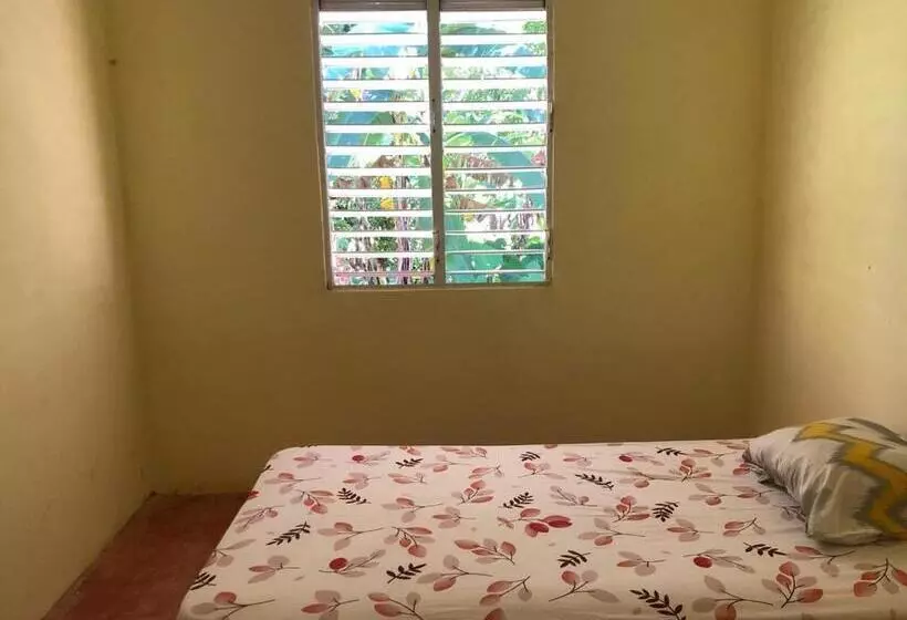 تختخواب و صبحانه Accommodations Caribbean