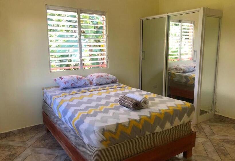 تختخواب و صبحانه Accommodations Caribbean