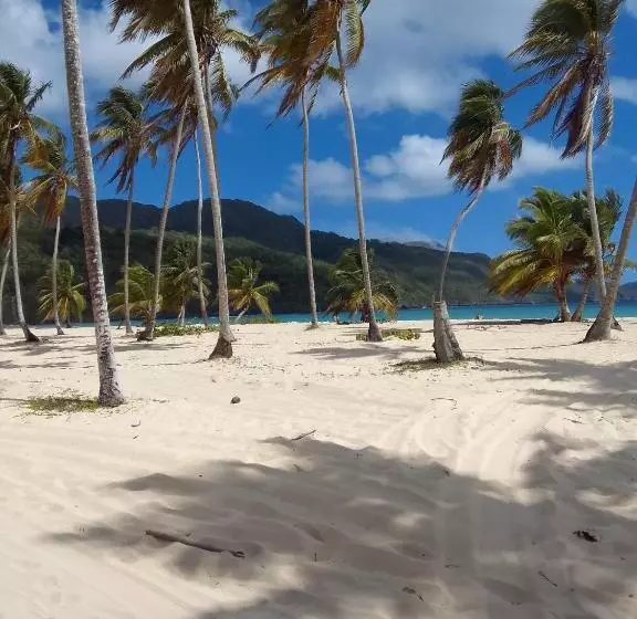تختخواب و صبحانه Accommodations Caribbean