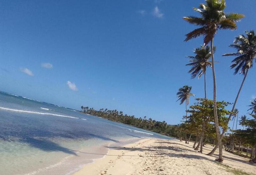 تختخواب و صبحانه Accommodations Caribbean