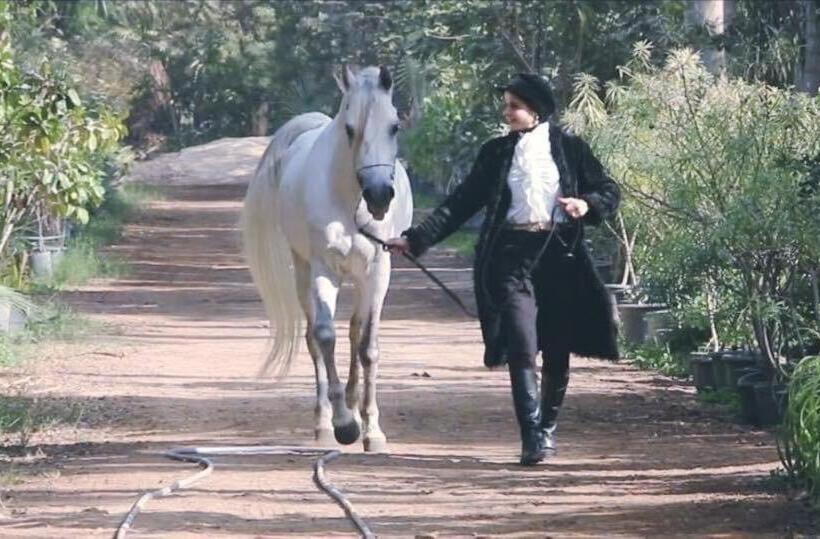 Family House بيت العيلة