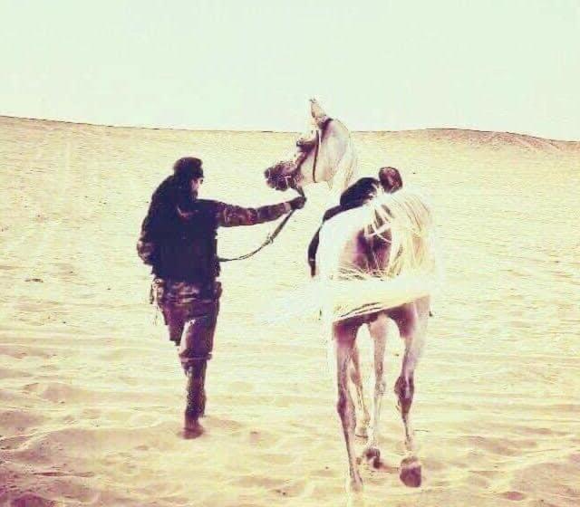 Family House بيت العيلة