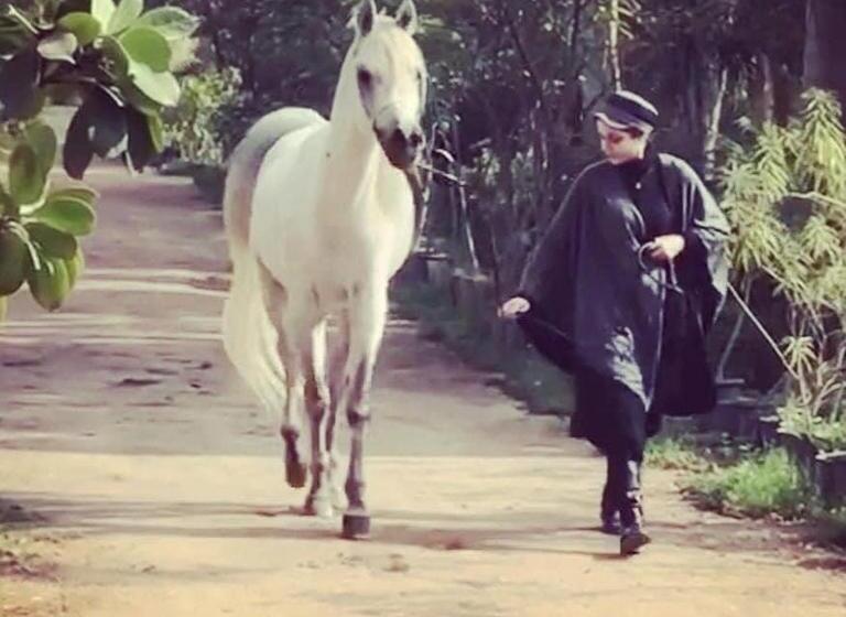 Family House بيت العيلة