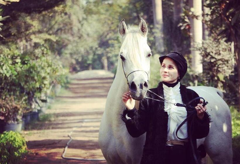 Family House بيت العيلة