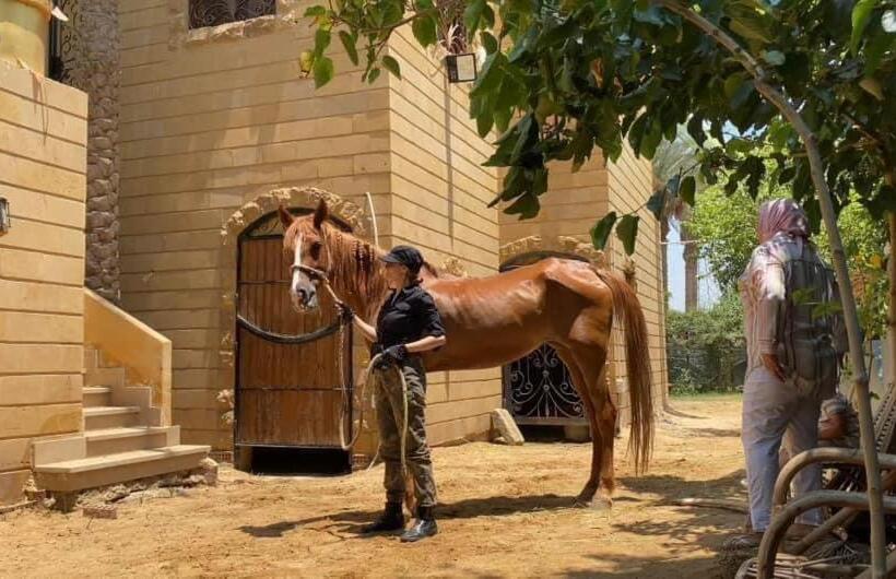 Family House بيت العيلة