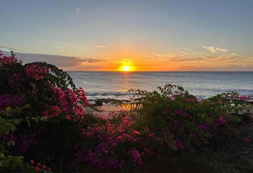 Kepuhi Sunset Ocean View   Ground Floor Unit By Wrinkly Sheets, Llc