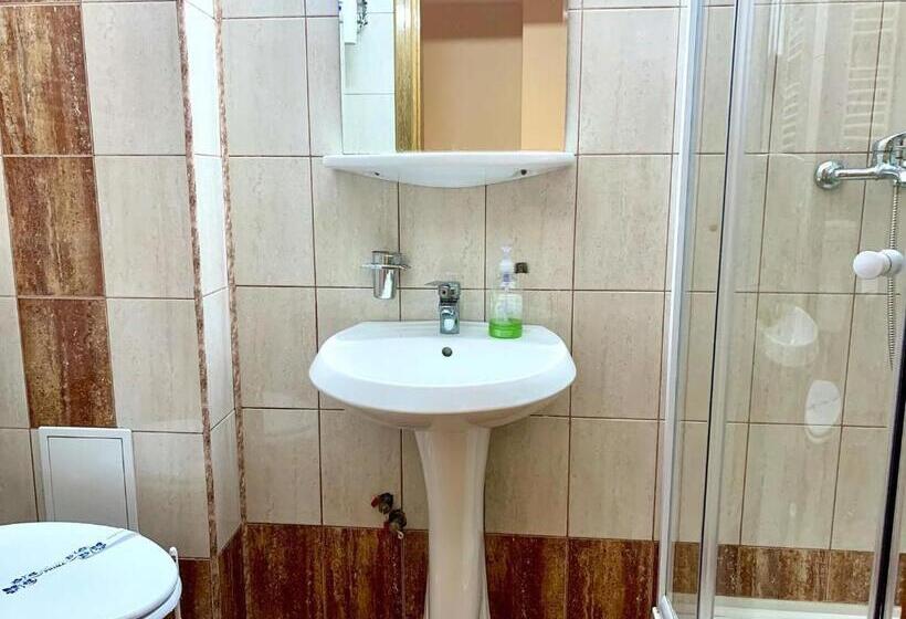 بنسيون Vila Ilinca