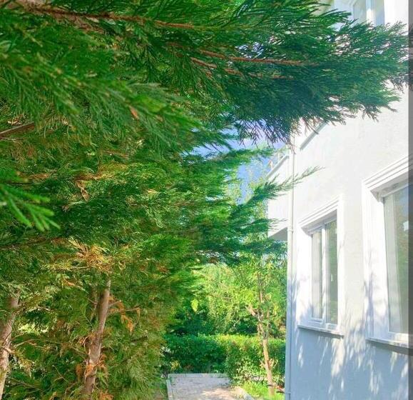 בית מלון כפרי Forest Villa ,6 Minute İstanbul Airport