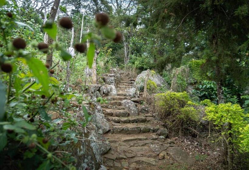 호텔 Beragala Serene Villa