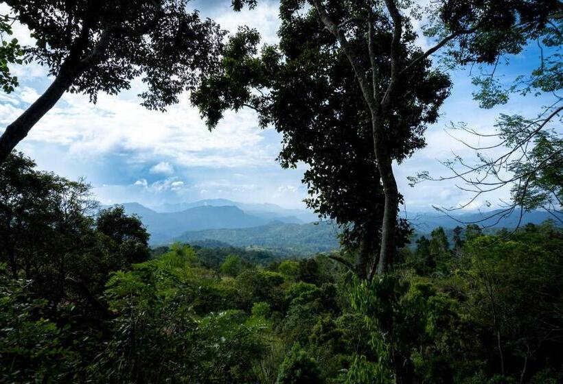 호텔 Beragala Serene Villa