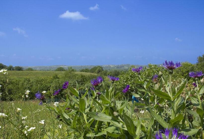 住宿加早餐  Chambre De La Divatte