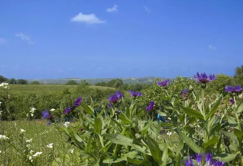 Aamiaismajoitus (B&B) Chambre De La Divatte