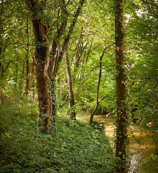 酒店 Gästehaus Englischer Garten
