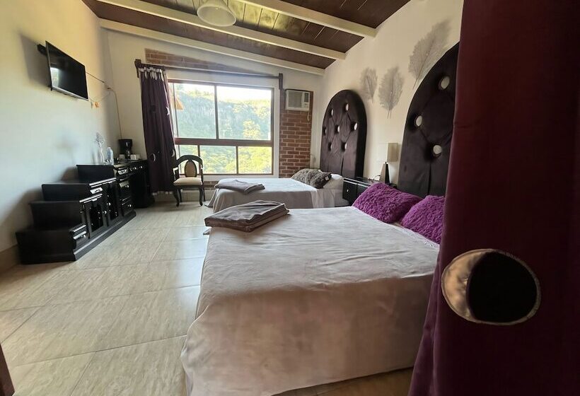 Hotel La Palapa & Posada Mía