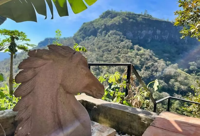 Hotelli La Palapa & Posada Mía