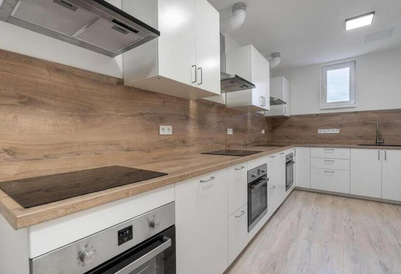 Szálloda Ubytování Racek