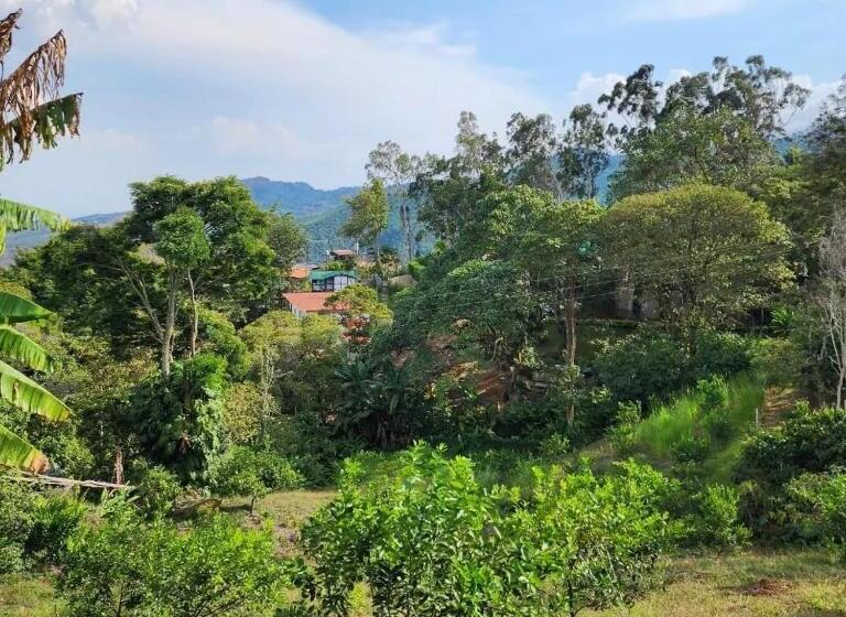 ペンション Hostal Restaurante Checha