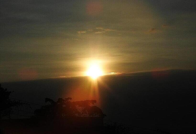 ペンション Hostal Restaurante Checha