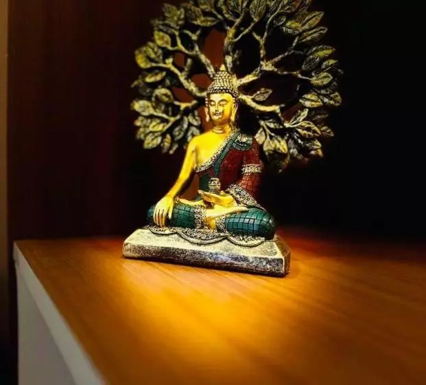 Lomakeskus The Healing Hills Naturopathy And Wellness Center