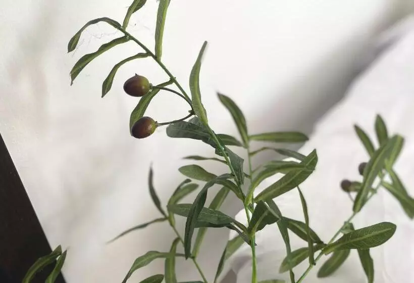 هاستل Daily Kost @pontianak City Center