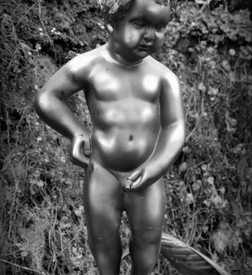 Bed and Breakfast Belgica Melay 52400