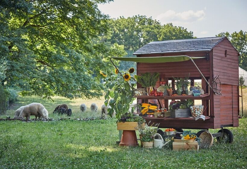 Отель Pendry Natirar