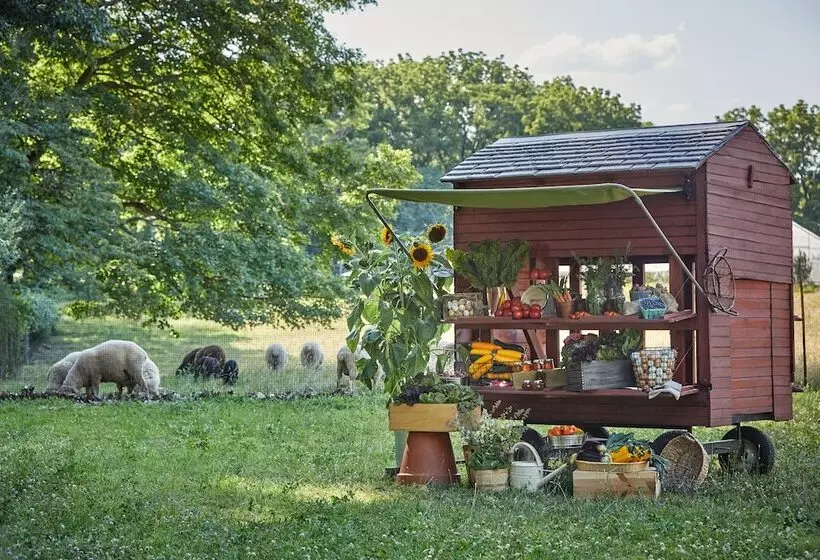 Hotelli Pendry Natirar