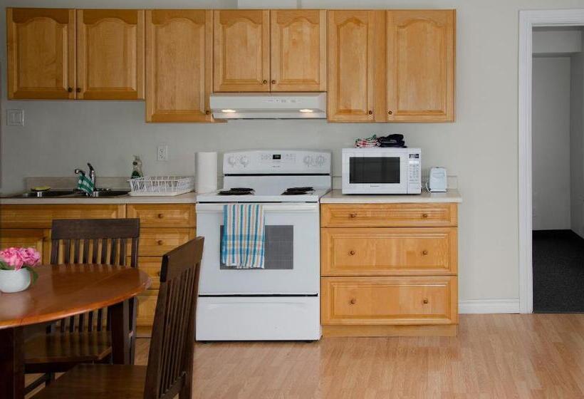 汽车旅馆  Prospectors Inn