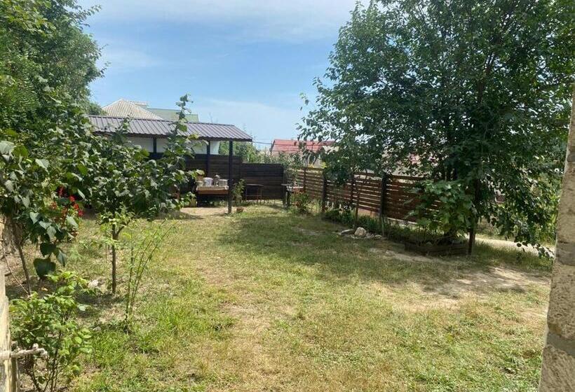 پانسیون Guest House