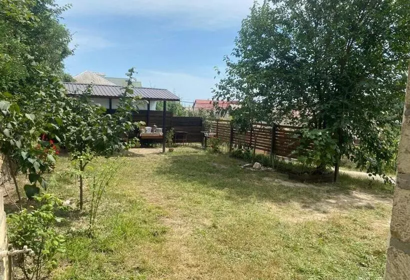 پانسیون Guest House