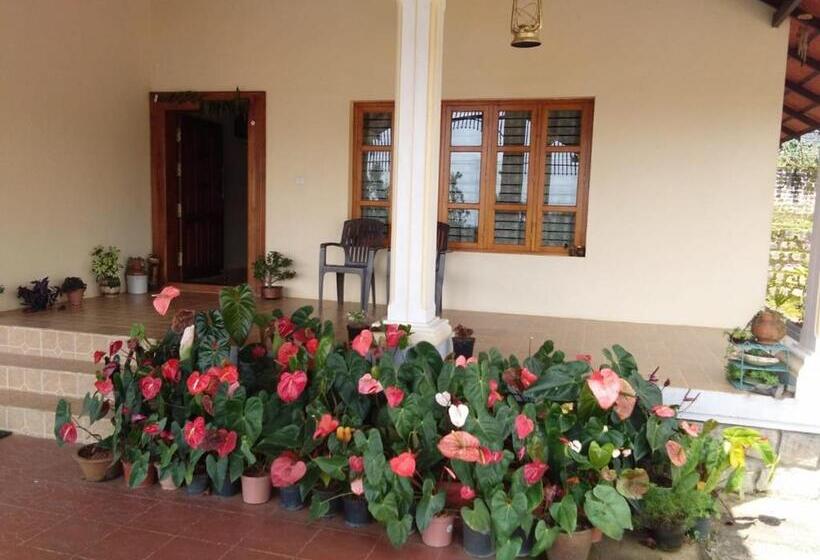 膳宿费 Honey Beatle Homestay