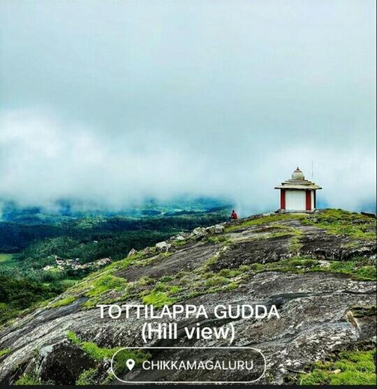 膳宿费 Honey Beatle Homestay