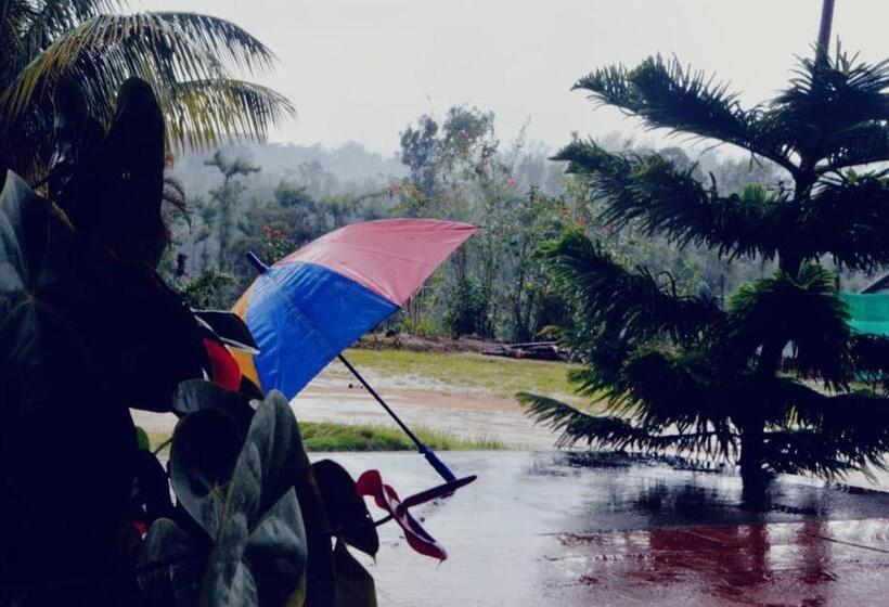 膳宿费 Honey Beatle Homestay